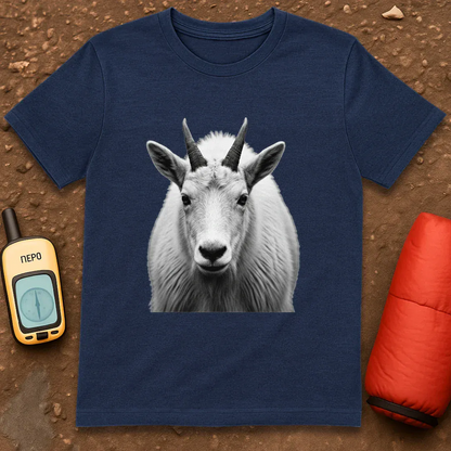 Heather Navy
